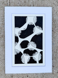 Tidepool Study No. 01