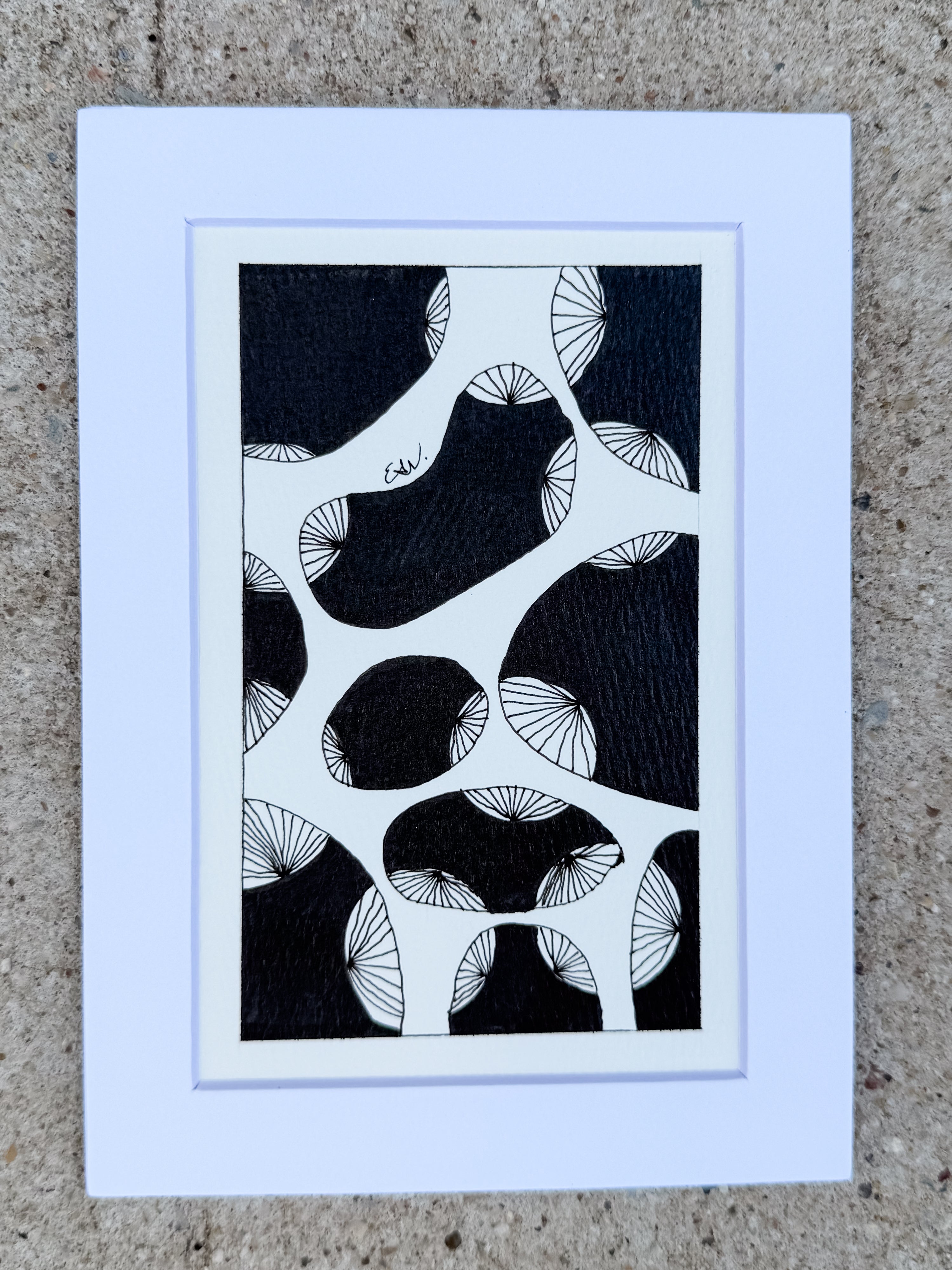 Tidepool Study No. 01