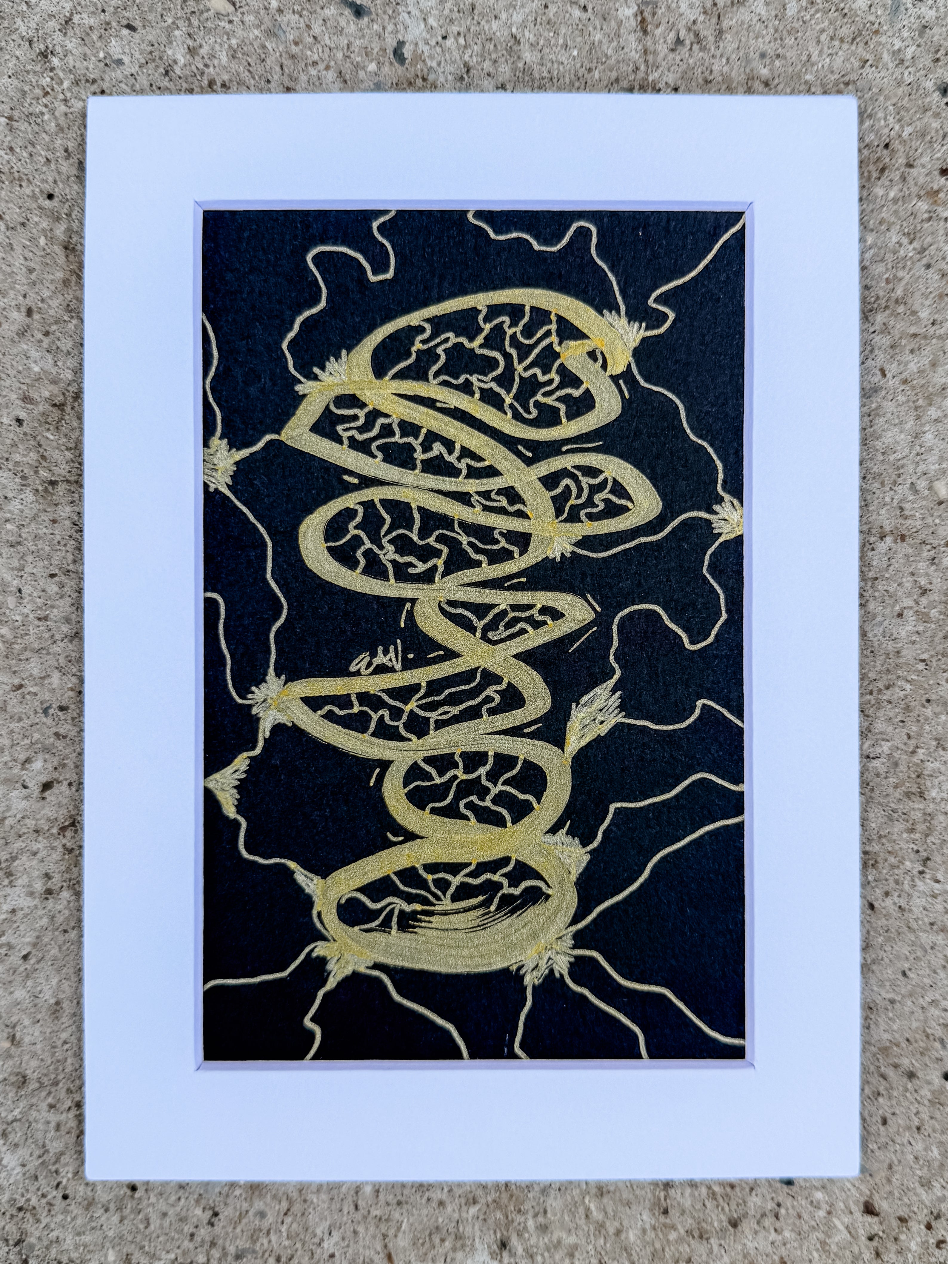 Current Study No. 01