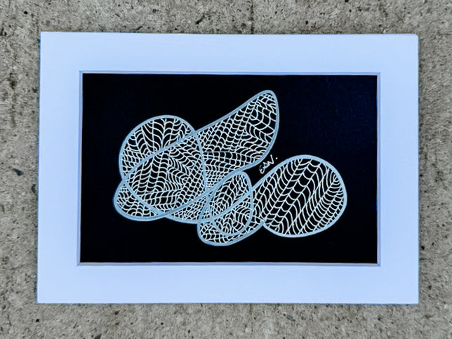 Reef Study No. 01