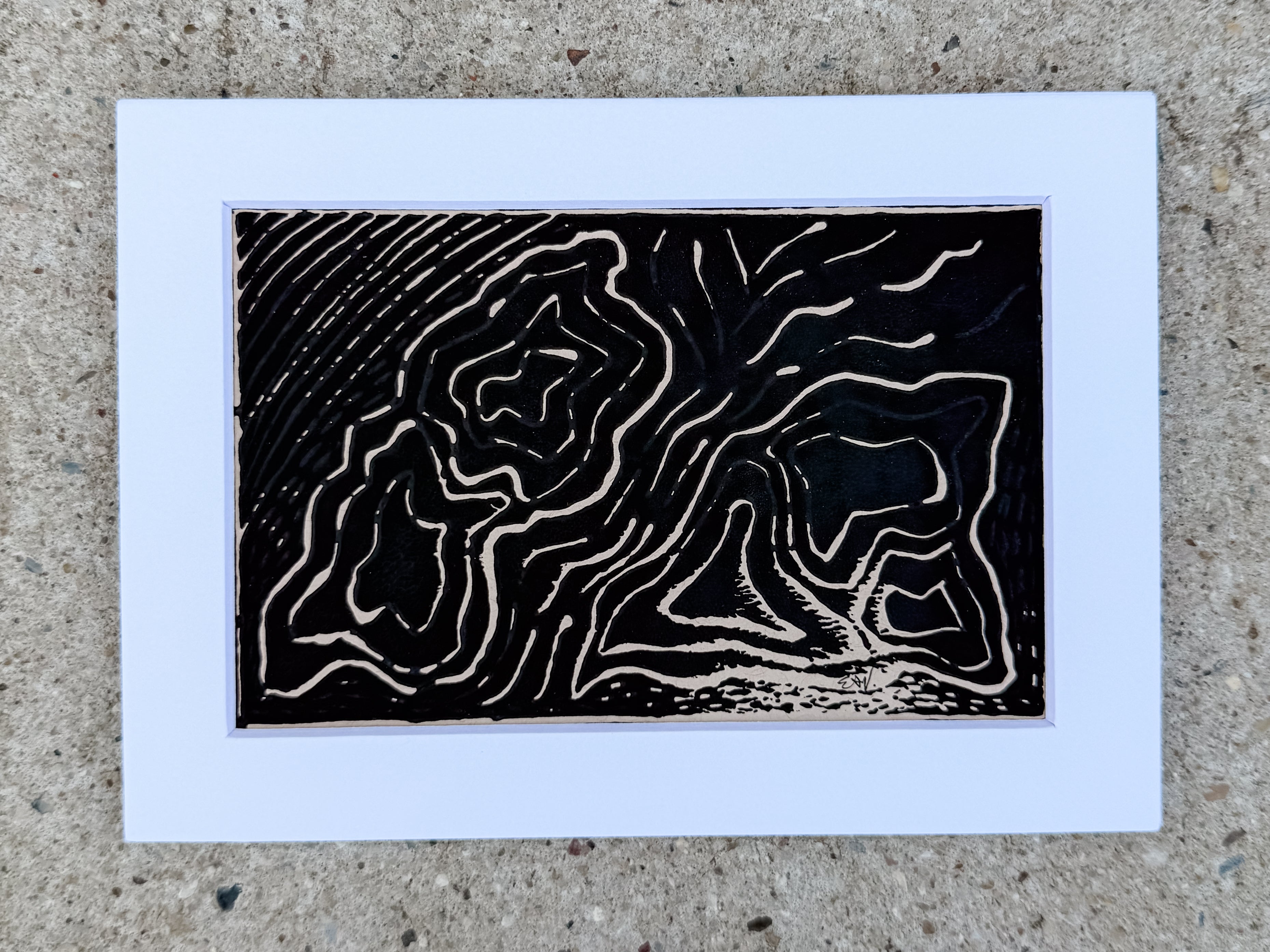 Terrain Echo No. 01