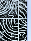 Faultline Study No. 02