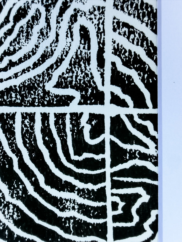 Faultline Study No. 02
