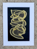 Ribbon Study No. 01