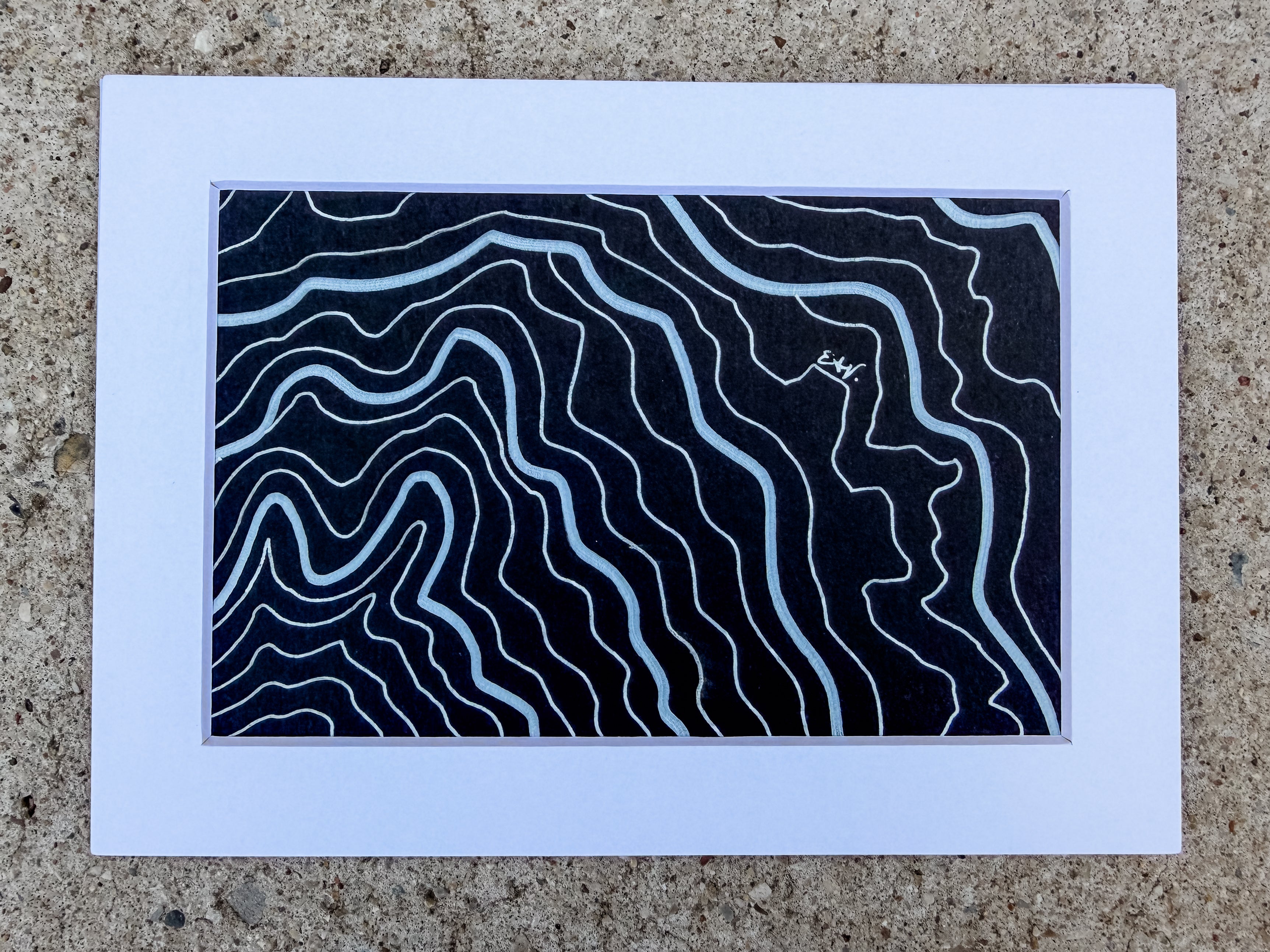 Contour Study No. 01