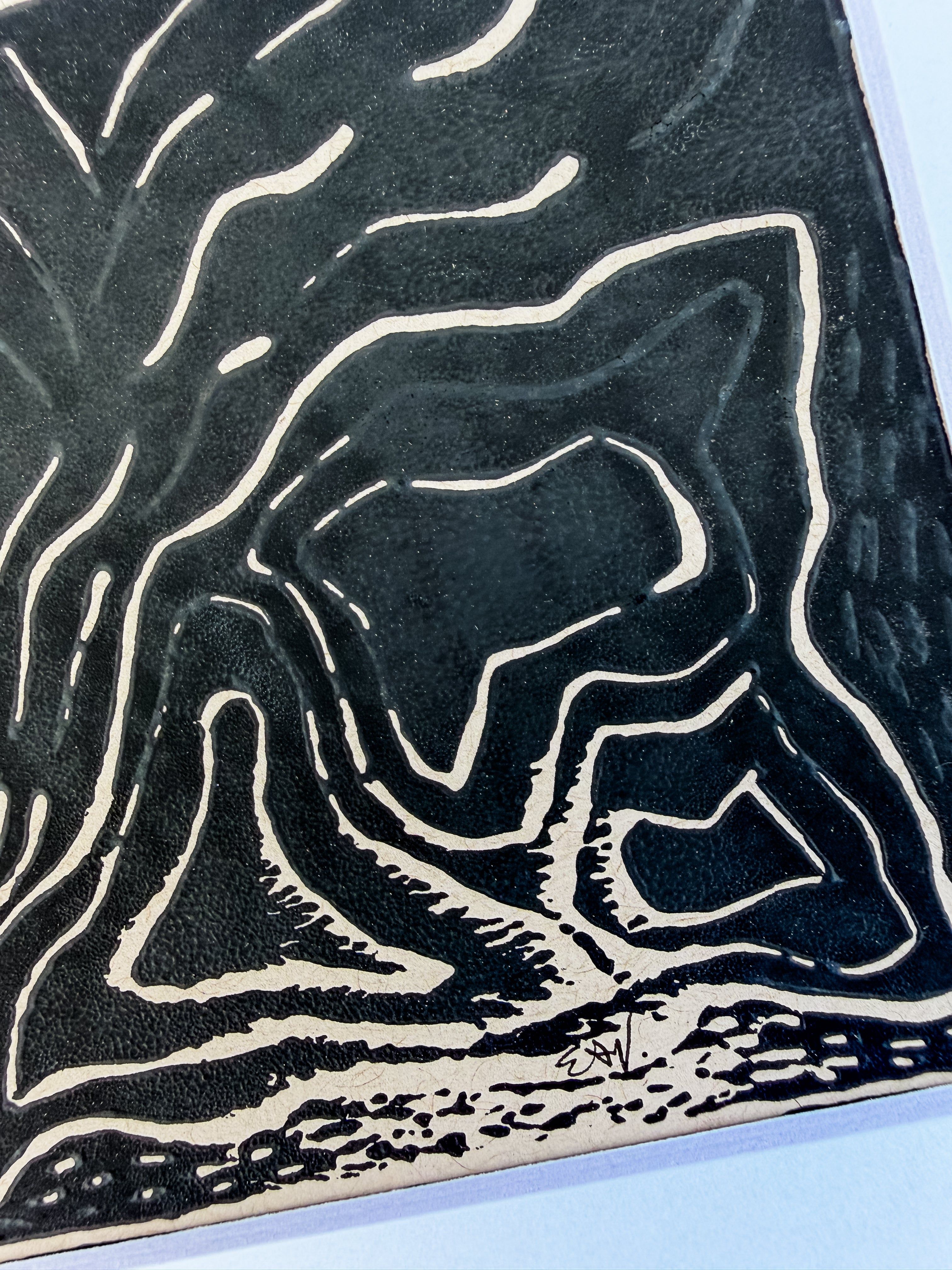 Terrain Echo No. 01